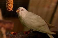 IMG_4956_1.jpg