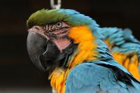 IMG_5415_1.jpg
