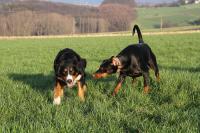 IMG_6176_1.jpg
