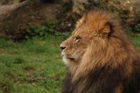 IMG_6412_2.jpg