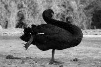 IMG_7204_3.jpg