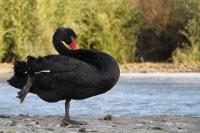 IMG_7206_1.jpg