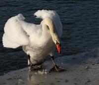IMG_7401_1.jpg
