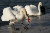 IMG_7402_1.jpg