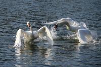 IMG_7433_1.jpg