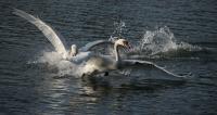 IMG_7434_1.jpg