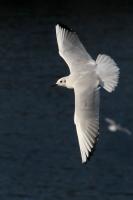 IMG_7449_1.jpg