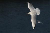 IMG_7449_2.jpg