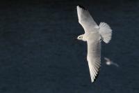 IMG_7449_2~0.jpg