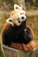 IMG_7994_1.jpg