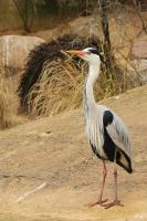 IMG_8046_1.jpg