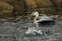 IMG_8076_1.jpg