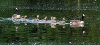 DKF_Fredenbaum_2013_06_11_WEB_oWZ-14.jpg