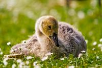 DKF_Fredenbaum_2013_06_11_WEB_oWZ-2.jpg