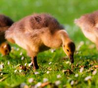 DKF_Fredenbaum_2013_06_11_WEB_oWZ-6.jpg