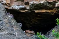 DK_Uhu-20140525-9559.jpg