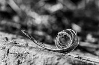 DK_sw_WEB-20130407-9573.jpg