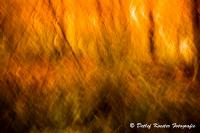 Ebberg_2013_04_30_WEB-4977-2.jpg