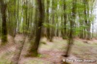 Ebberg_2013_04_30_WEB-5014.jpg