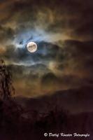 Mond_24_04_2013_23-30h_WEB-4847.jpg