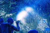 dkf_blue_sorcerer_9446_FFF.jpg