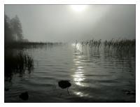 l_see_243.jpg