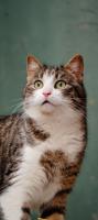 comp_DSC_0024bea.jpg