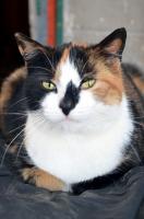 comp_DSC_0041bea.jpg