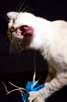 comp_DSC_0043bea~0.jpg