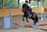 comp_DSC_0052bea.jpg
