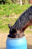 comp_DSC_0077bea.jpg