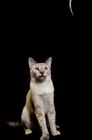 comp_DSC_0091bea.jpg