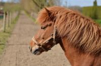 comp_DSC_0157bea.jpg