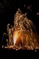 Silvester-1.jpg