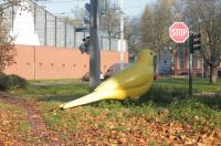 kanarienvogel_in_essen.jpg