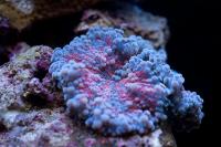IMG_3016~0.jpg