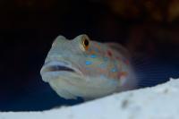 IMG_5025.jpg