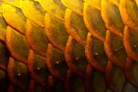 IMG_5074.jpg