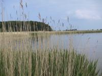 Dateiname=Schouwen.jpg
Dateigröße=501KB
Abmessungen: 1100x825
hinzugefügt am: 15. Juli 2014 Schouwen.jpg