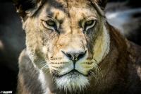 20130713-img_39762xsth.jpg
